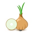 Cartoon colored onion, flat design, vector