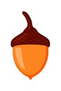 Cartoon colorful acorn