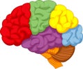 Cartoon colorful brain