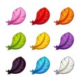 Cartoon colorful feather icons set.