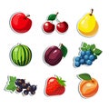 Cartoon colorful fruits icons