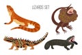 Cartoon colorful lizards