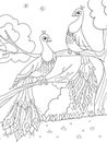 Cartoon coloring for children. A bird, a feather of a bird or a peacock on a tree. Couple in love.