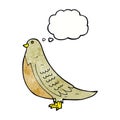 cartoon common bird with thought bubble