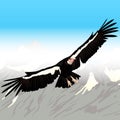 Cartoon Condor Flying Royalty Free Stock Photo