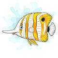 Cartoon copper banded butterfly fish