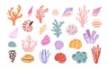 Cartoon corals and seashells, algae underwater elements. Ocean blue natural plants, seashells aquarium set. Shell