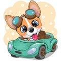 Cartoon Corgi in glasses goes on a green car