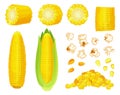 Cartoon corn. Golden maize harvest, popcorn corny grains and sweet corn. Ear of corn, delicious vegetables vector