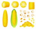 Cartoon corn. Golden maize harvest, popcorn corny grains and sweet corn. Ear of corn, delicious vegetables vector illustration set