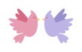 Cartoon couple of doves in love icon vector illustration. Royalty Free Stock Photo