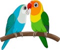 Cartoon Couple Lovebird Parrot on White Background Royalty Free Stock Photo