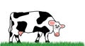 Cartoon cow