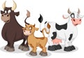 Cartoon cow, calf and bull. Royalty Free Stock Photo