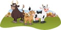 Cartoon cow, calf and bull. Royalty Free Stock Photo