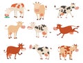 Cartoon cow characters Royalty Free Stock Photo