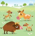 Cartoon cow set: cows, bull and calf bull Royalty Free Stock Photo