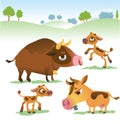 Cartoon cow set: cows, bull and calf bull. Royalty Free Stock Photo