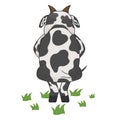 Cartoon cow in shy pose Royalty Free Stock Photo
