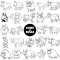 Cartoon cows and bulls farm animals big set coloring page Royalty Free Stock Photo