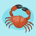 Cartoon crab vector flat illustration fresh seafood icon cute red marine life animal character Royalty Free Stock Photo