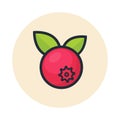 Cartoon cranberry icon