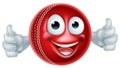 Cricket Cartoon Character Ball