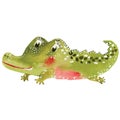 Cartoon crocodile Royalty Free Stock Photo