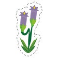 cartoon crocus flower image