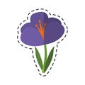 Cartoon crocus plant spring floral icon