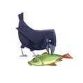 Cartoon crow eats fish. Raven bird character. Vector illustration isolated on white background Royalty Free Stock Photo