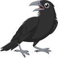 Cartoon crow isolated on white background Royalty Free Stock Photo