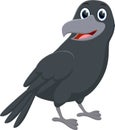 Cartoon crow isolated on white background Royalty Free Stock Photo