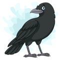 Cartoon crow isolated on white background Royalty Free Stock Photo