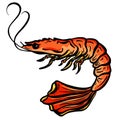 Cartoon Crustacean Shrimp Lobster Fish Vector Illustration