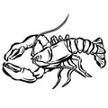 Cartoon Crustacean Shrimp Lobster Fish Vector Illustration