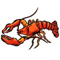 Cartoon Crustacean Shrimp Lobster Fish Vector Illustration