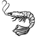 Cartoon Crustacean Shrimp Lobster Fish Vector Illustration