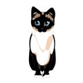 Cartoon Cteu Siamese Cat Illustration Isolated Royalty Free Stock Photo