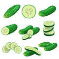 Cartoon cucumbers set. Whole cucumbers, half, flying slices and cucumbers group. Fresh farm vegetables collection. Vector illustra