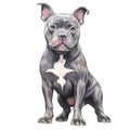 Cute American Pitbull Puppy Watercolor Clipart Illustration AI Generative