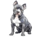 Cute American Pitbull Puppy Watercolor Clipart Illustration AI Generative