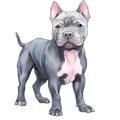 Cute American Pitbull Puppy Watercolor Clipart Illustration AI Generative