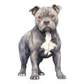 Cute American Pitbull Puppy Watercolor Clipart Illustration AI Generative