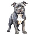Cute American Pitbull Puppy Watercolor Clipart Illustration AI Generative