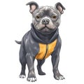 Cute American Pitbull Puppy Watercolor Clipart Illustration AI Generative