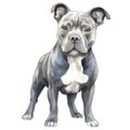 Cute American Pitbull Puppy Watercolor Clipart Illustration AI Generative