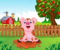 Cartoon cute baby pig in the garden Royalty Free Stock Photo