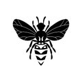 Cartoon cute bee mascot. Bee flies. Small wasp. Outline black logo element. Vector insect icon. Template design for invitation,