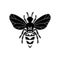 Cartoon cute bee mascot. Bee flies. Small wasp. Outline black logo element. Vector insect icon. Template design for